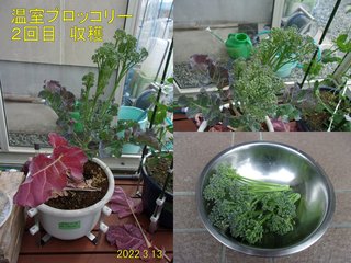 220313ubR[n