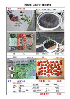 160406栽培消耗費2013年ミニトマト