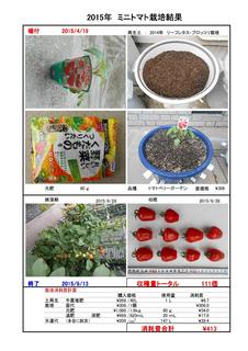 160406栽培消耗費2015年ミニトマト