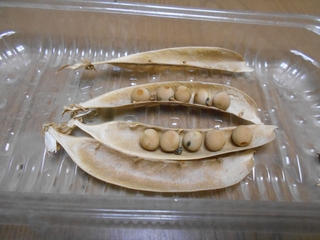 200822Œ키GhE