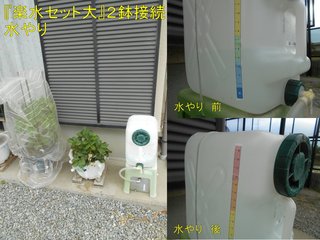 200610『楽水セット大』2鉢接続水やり