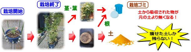 一般的な栽培終了後の土状態フロー