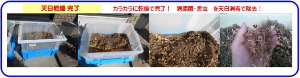 土がカラカラに乾燥して完了