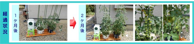 設置例04神崎郡D様経過状況 楽水セット大経過状況:1ヶ月後・2ヵ月後