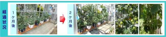 設置例06姫路市F様経過状況 楽水システム経過状況:1ヶ月後・2ヶ月後