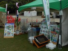 2018/9/23�@�܂��Ȃ݃K�[�f���V���[�������΁@�o�W