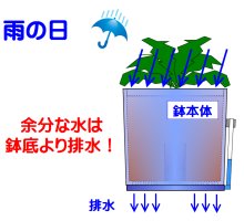 雨の日排水性確保 ラクスイハチ 雨の日、排水性を確保!