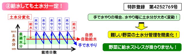 楽水鉢 特長A土水分一定 ラクスイハチ特長A 給水しても土水分一定! 特許登録 第4252769号