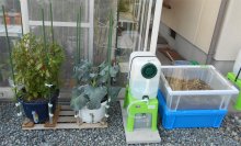 野菜の循環栽培設置例 ラクスイ 循環栽培設置例