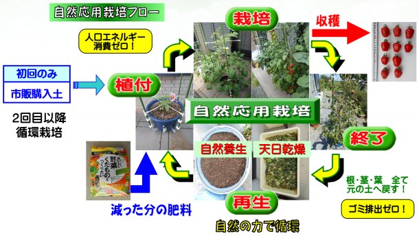 栽培ゴミゼロ・人口エネルギー消費ゼロの、自然応用栽培フロー。