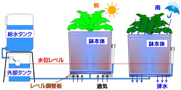 楽水セット　２鉢接続の全体フロー図