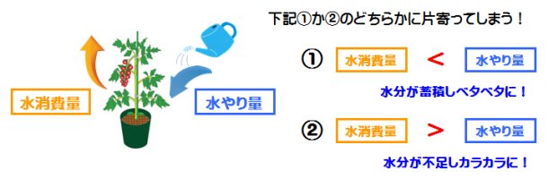 水消費量と水やり量の関係