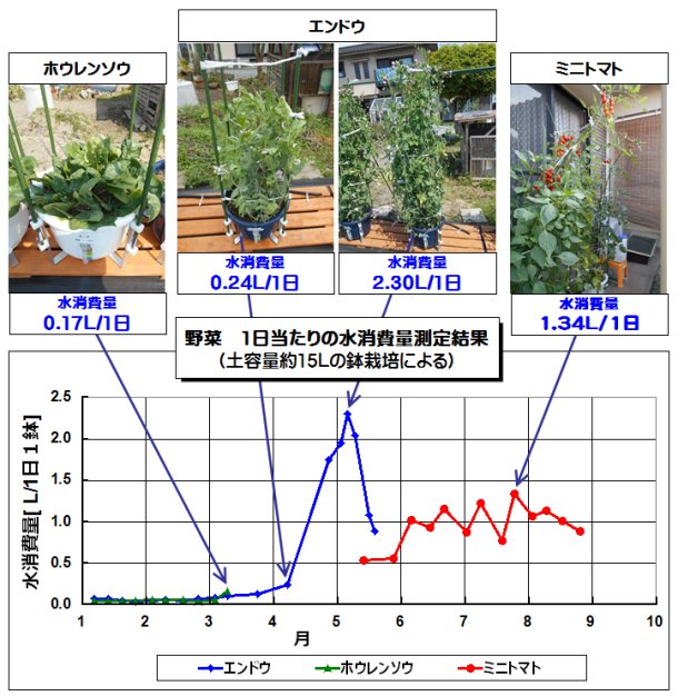 野菜の1日当たり水消費量測定結果