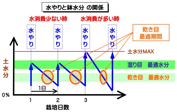 水やり時より野菜が水を消費すると共に鉢土水分が変化していく状況