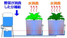 自然自動給水による水消費バランス