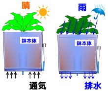 自然自動給水、通気性・雨天時排水性