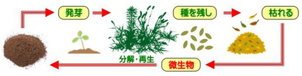 自然界では何もしなくても循環サイクルが成り立っている