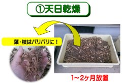 天日乾燥完了後