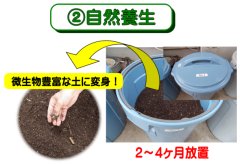 自然養生完了後