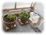 �y���Z�b�g�P�F�ȃX�y�[�X�^���N��������