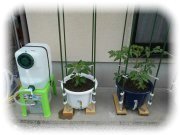 �y���Z�b�g�Q�F��^�^���N��������