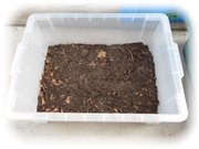 �V�������R���e�i�F�����R���e�i���^�����R���e�i��