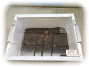 �V�������p�l���F�V���p�l�����^�V���p�l����