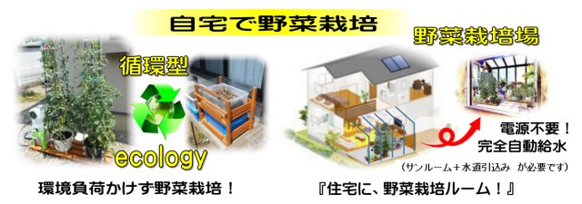 �z�^���R���p�͔|